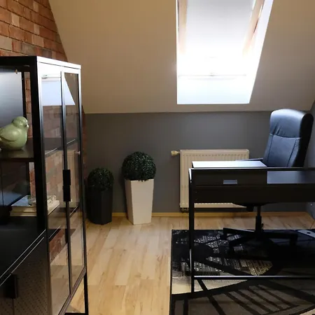 Poddasze Artysty Mieszkanie Ozonowane Apartamento *