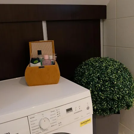 Poddasze Artysty Mieszkanie Ozonowane *