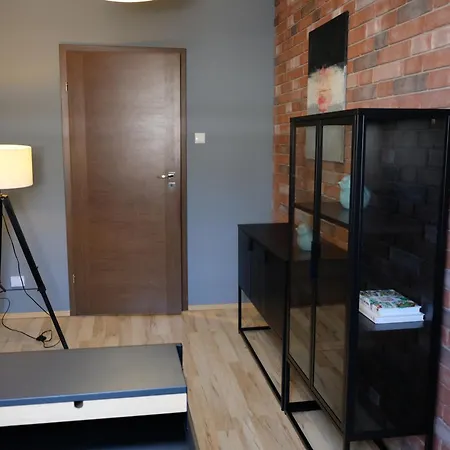 Poddasze Artysty Mieszkanie Ozonowane