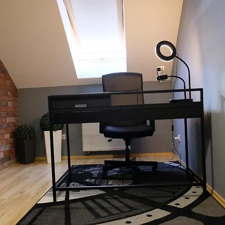 Poddasze Artysty Mieszkanie Ozonowane