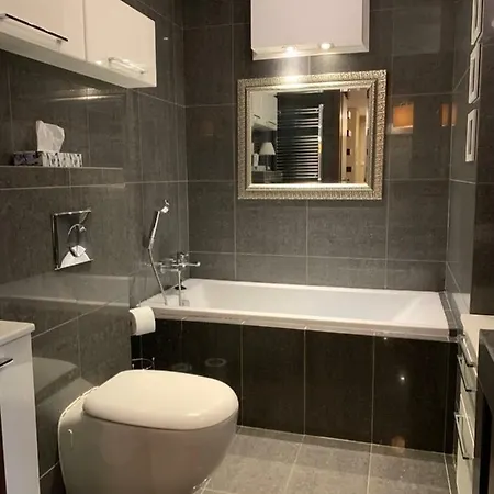 Poddasze Artysty Mieszkanie Ozonowane Apartamento *