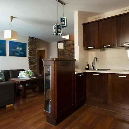 Apartamento Poddasze Artysty Mieszkanie Ozonowane