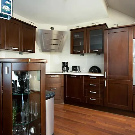 Poddasze Artysty Mieszkanie Ozonowane Częstochowa