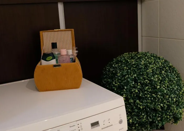 Poddasze Artysty Mieszkanie Ozonowane *