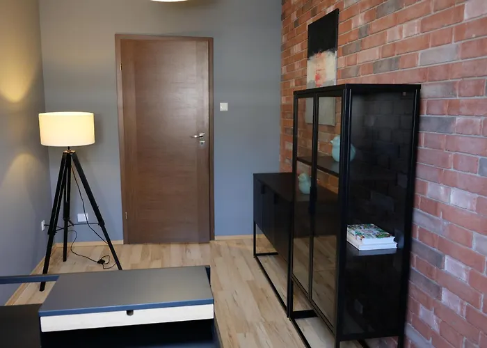 Poddasze Artysty Mieszkanie Ozonowane