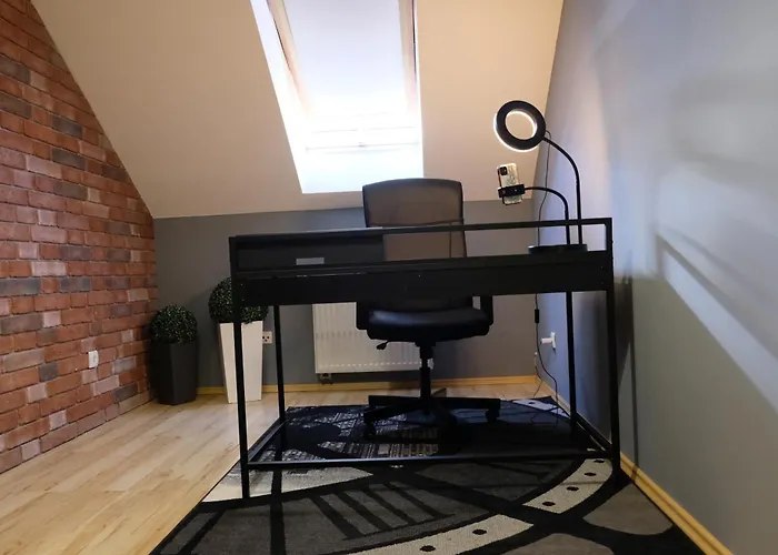 Poddasze Artysty Mieszkanie Ozonowane