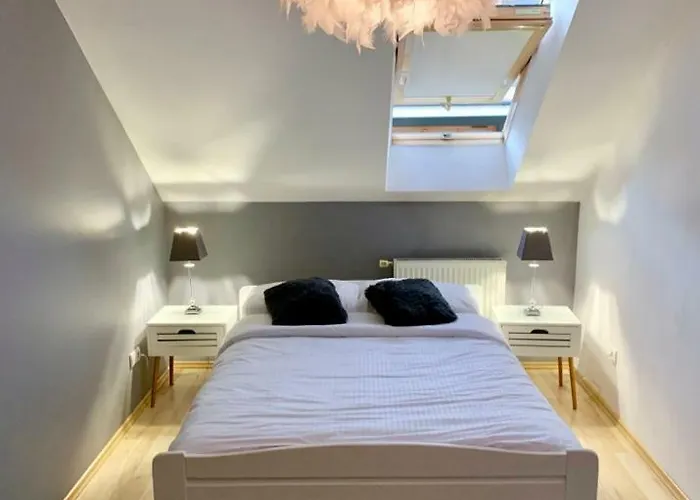 Poddasze Artysty Mieszkanie Ozonowane *